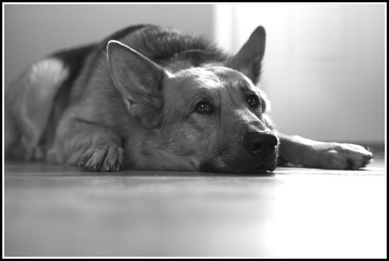 DSC_2336.jpg