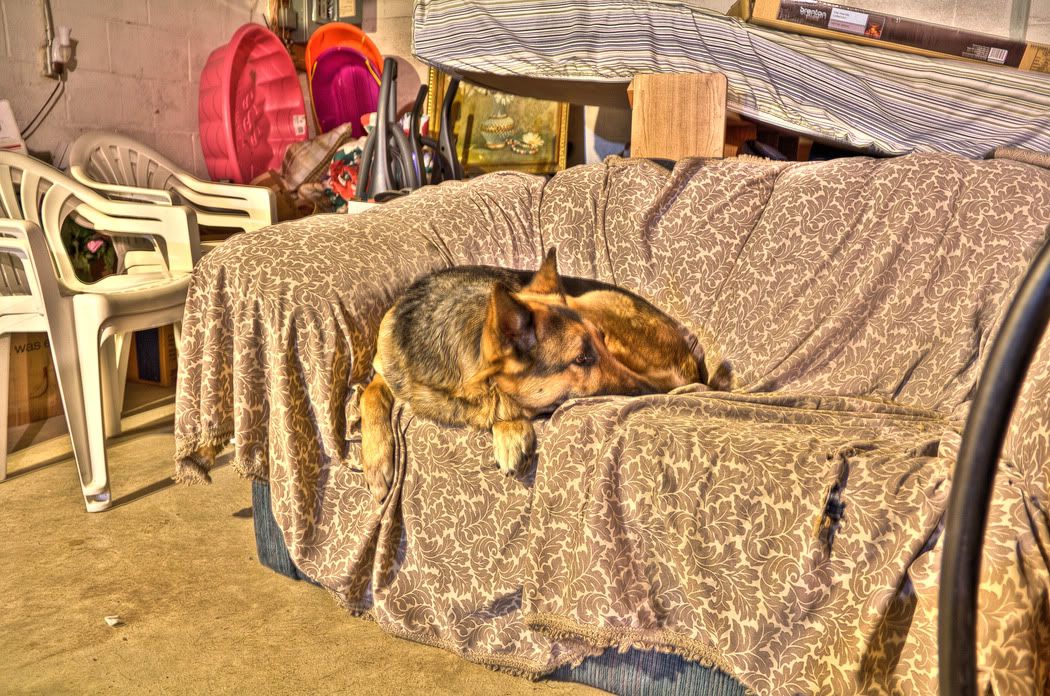 IMG_0307_8_9_tonemapped-2.jpg