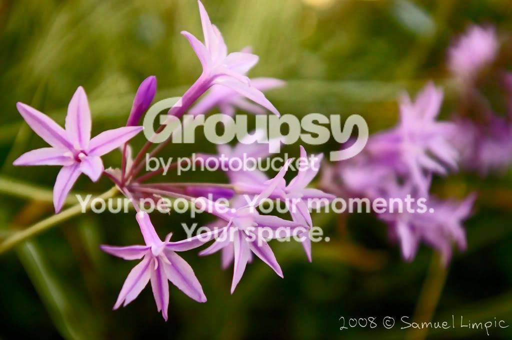 _IGP6070.jpg