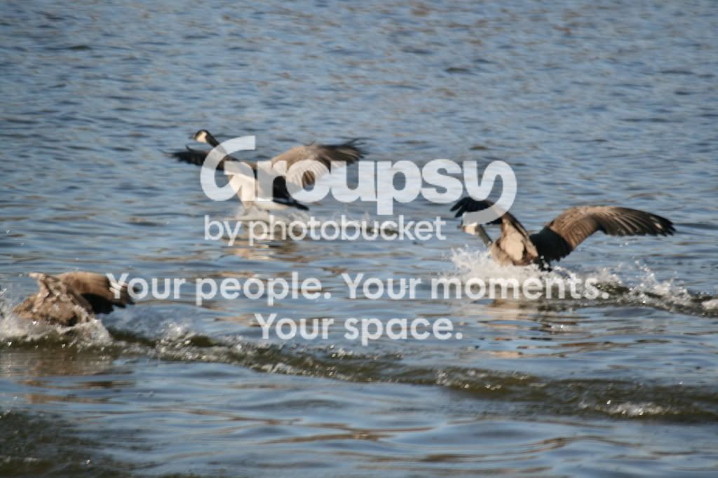 IMG_9963.jpg