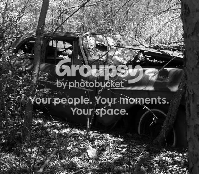 junkyard020-1.jpg