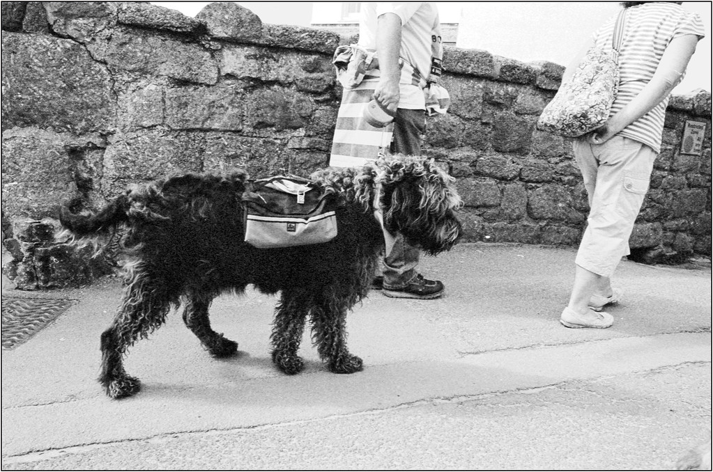 Scan-130930-0002panniers-XL.jpg
