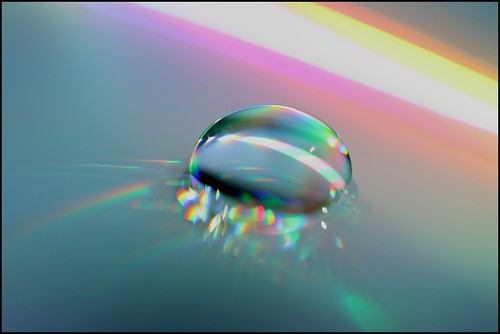 2314329473_747289ec05.jpg