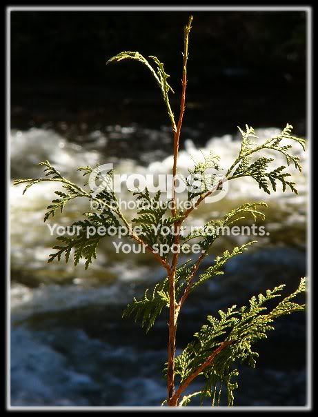 92a09101.jpg