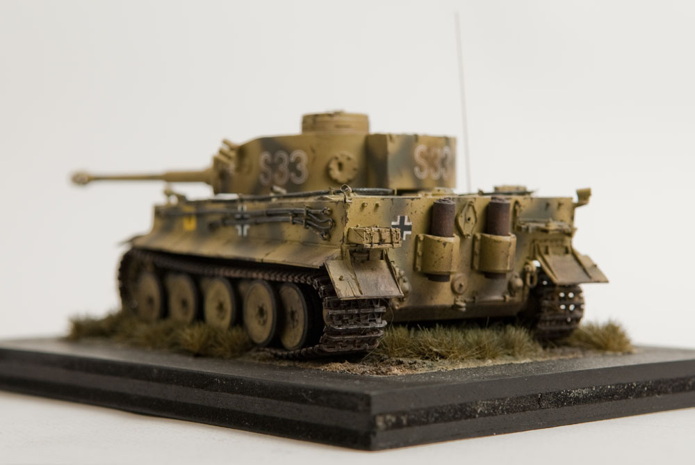07_s33tiger.jpg