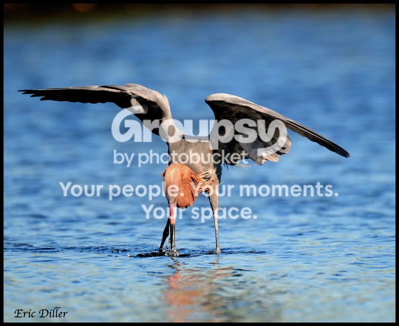 PIC_7310copy.jpg