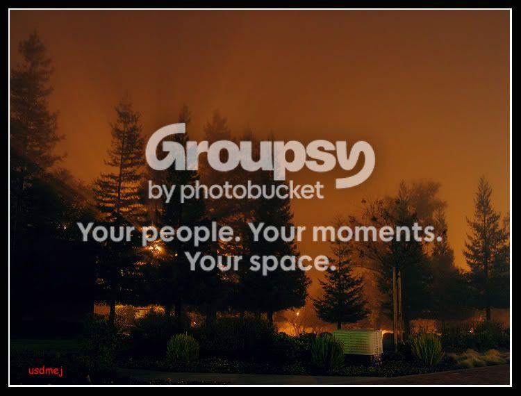 nitetimefoggybacklituop.jpg