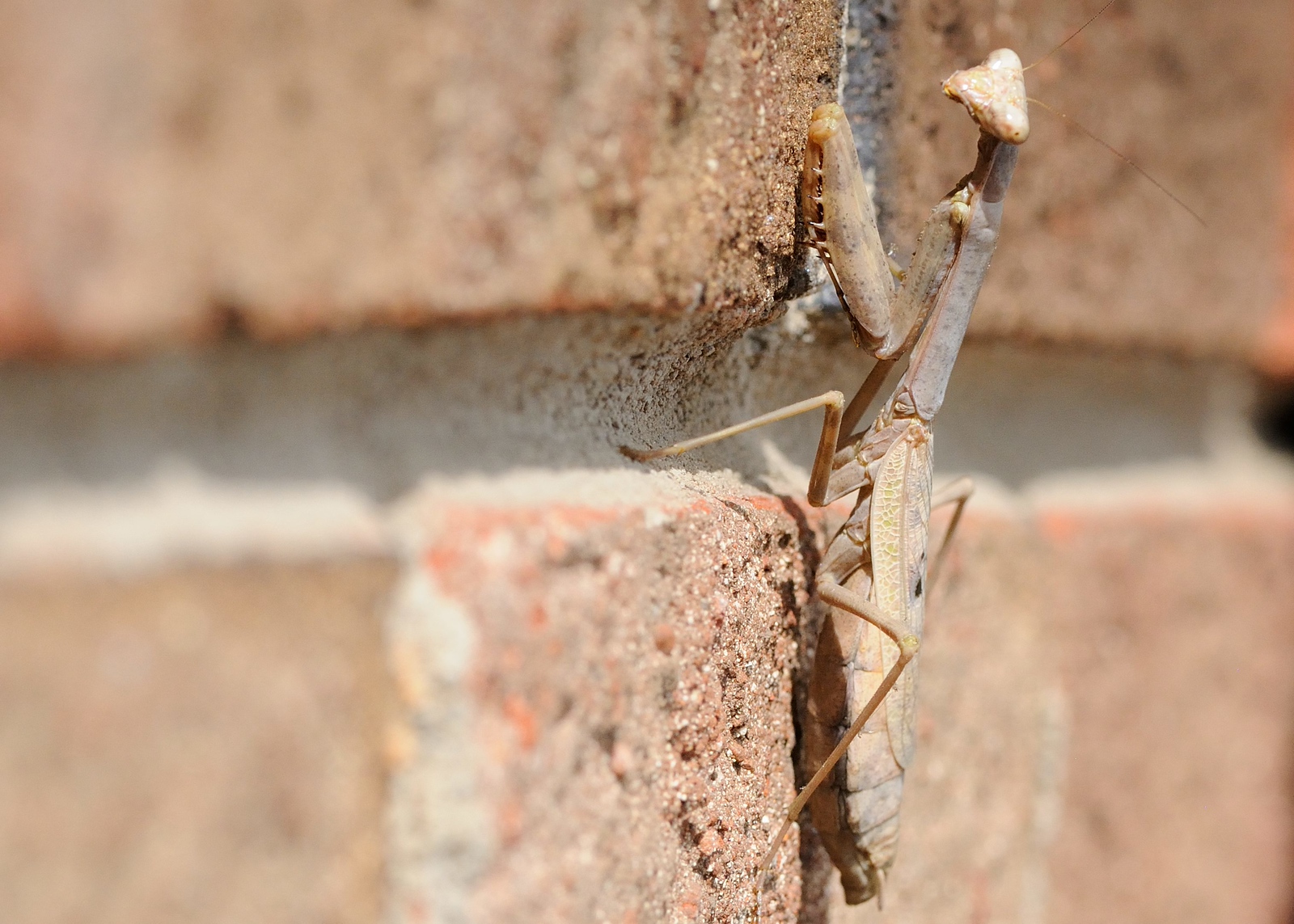 DSC_00005-X3.jpg