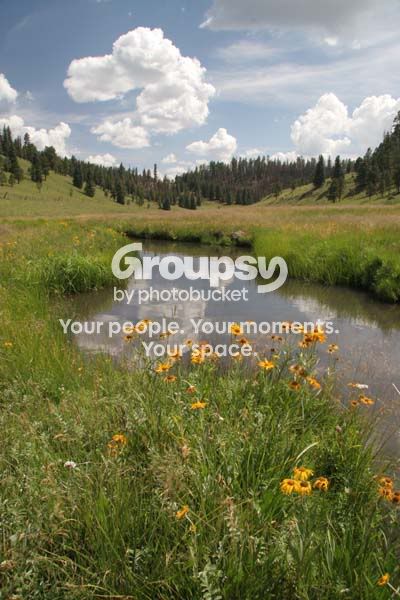 IMG_0661share.jpg