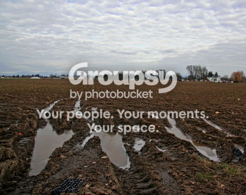 gleanfarm.jpg