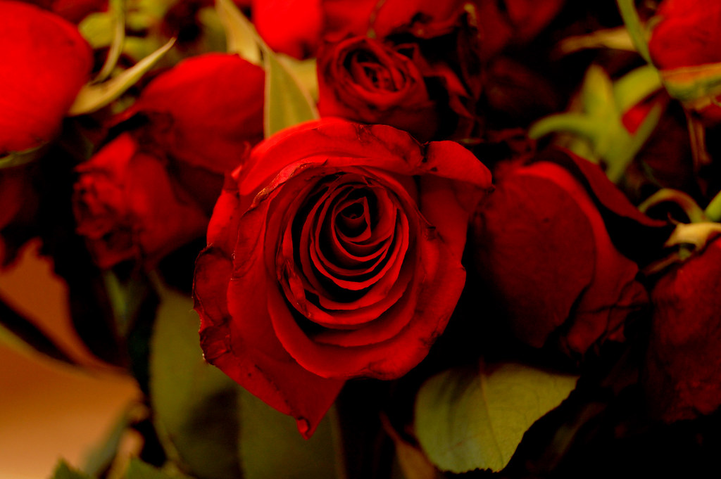 3294967946_2e9919c5c0_b.jpg