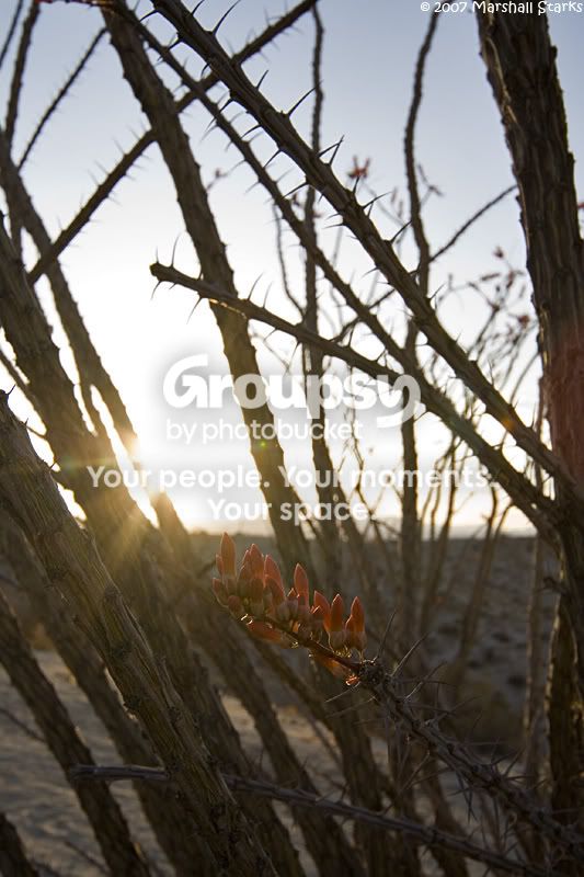 _MG_3476.jpg