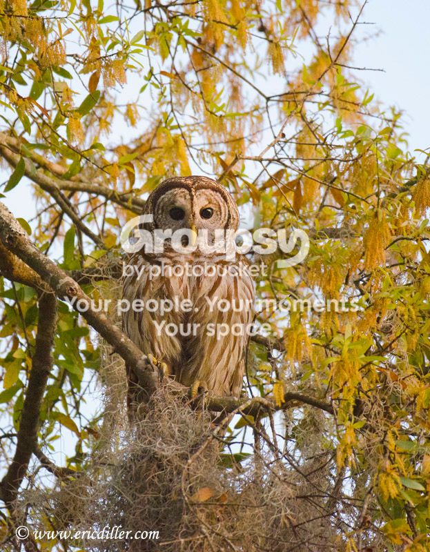 ECD_9224copy.jpg