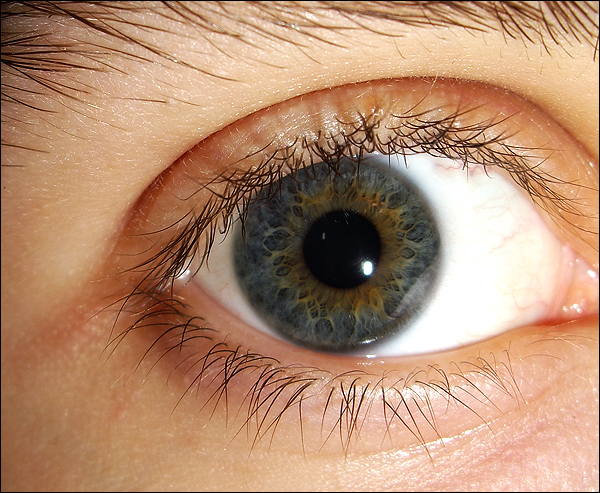 My_Eye_by_amnesic726.jpg