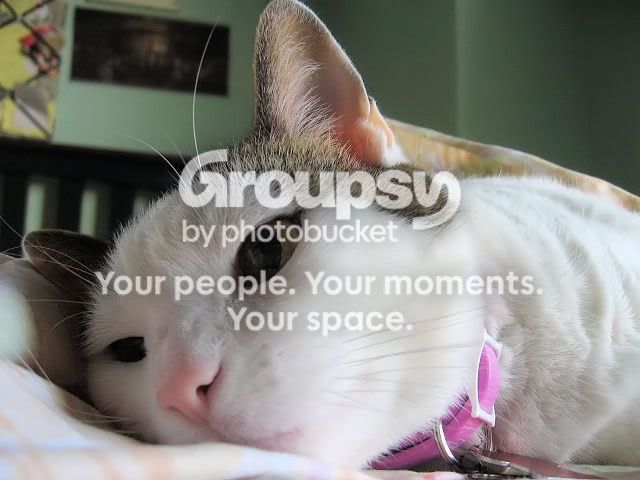 MorePancha053.jpg
