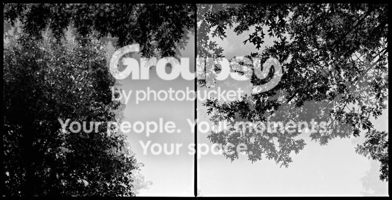 twovisions-diptych.jpg