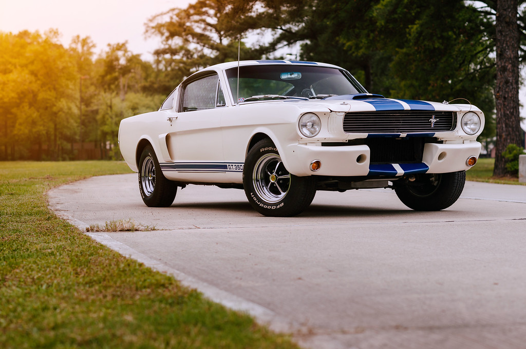 DSC_3885-XL.jpg
