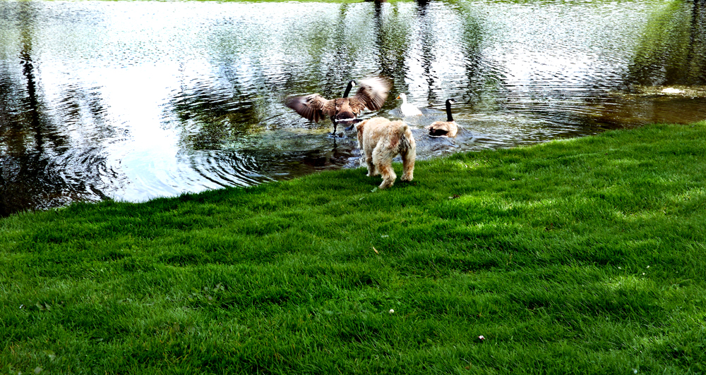 DSCF2645.jpg