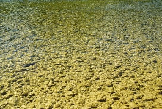 River_small.jpg