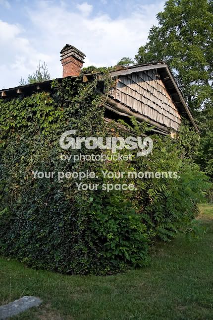 GreenCabin-1.jpg