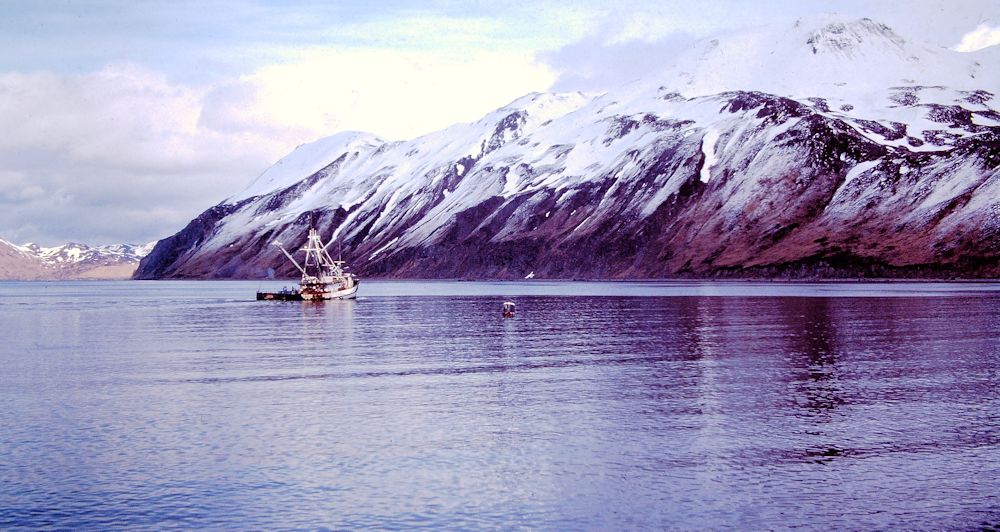 akscot-012a.jpg
