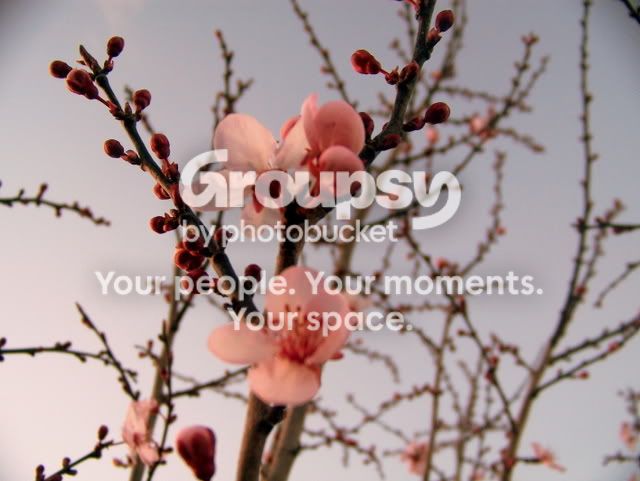 100_5027.jpg