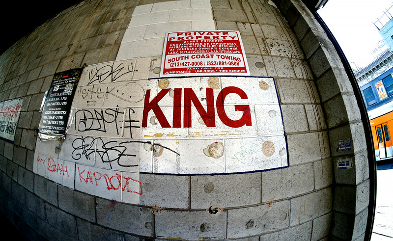 DSCF5825-L.jpg