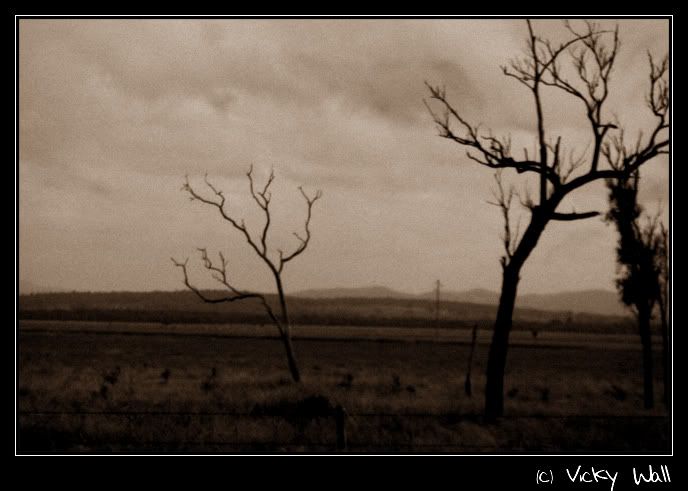 IMG_4731_Duotone.jpg