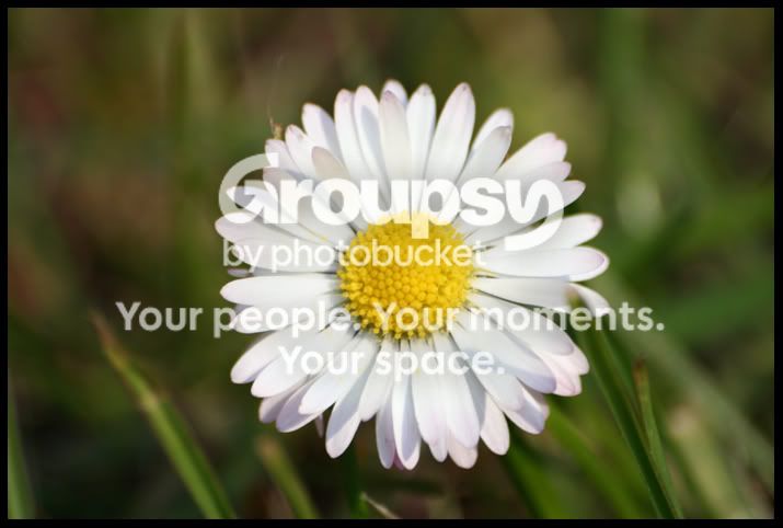 Spring6.jpg