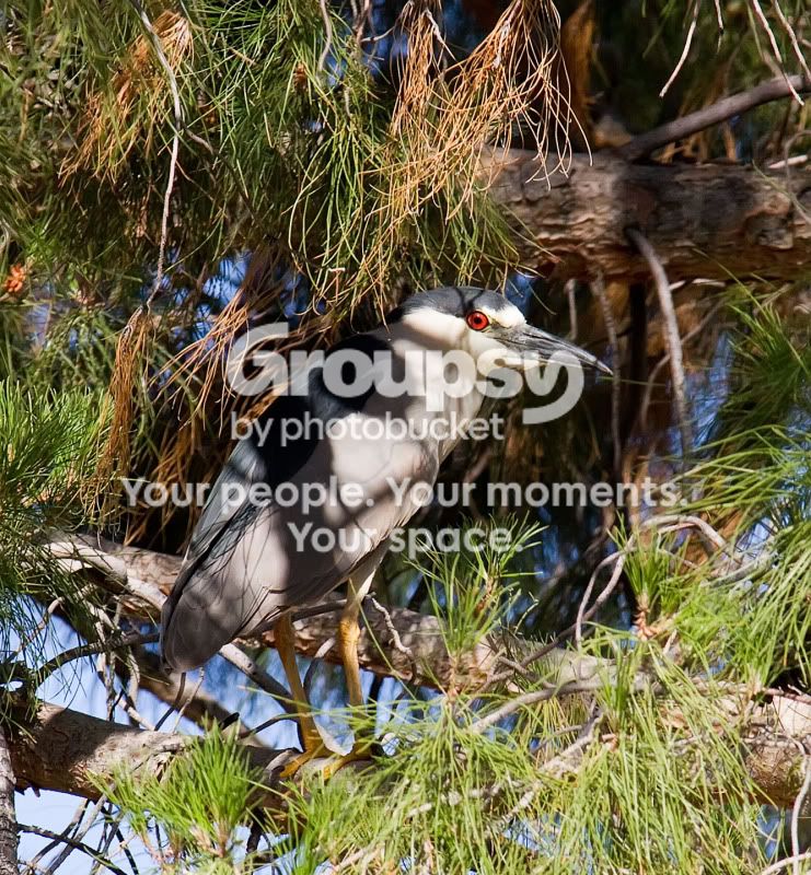 IMG_6372-Edit.jpg