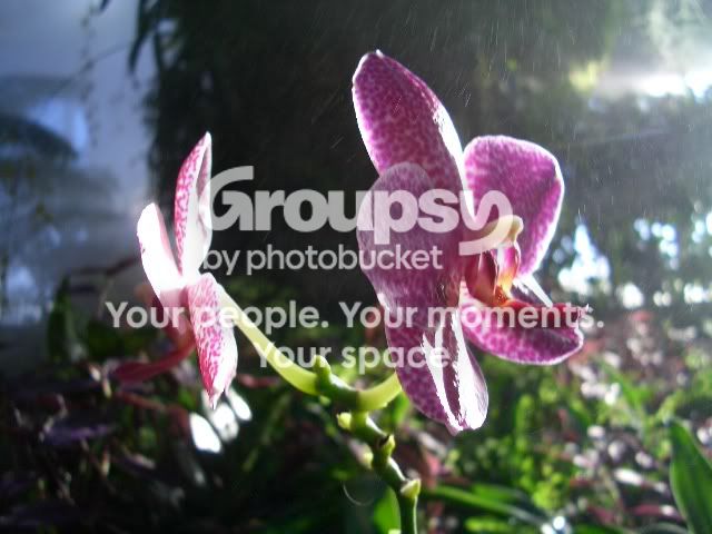 Picture009.jpg