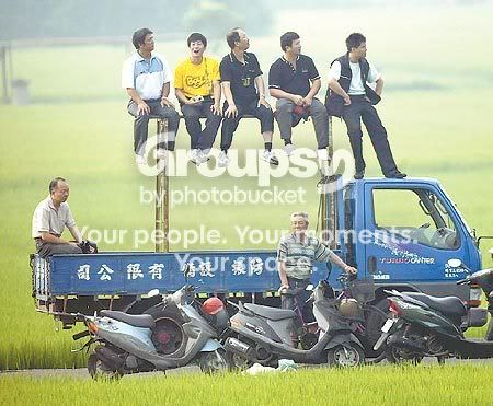 96051606yb.jpg