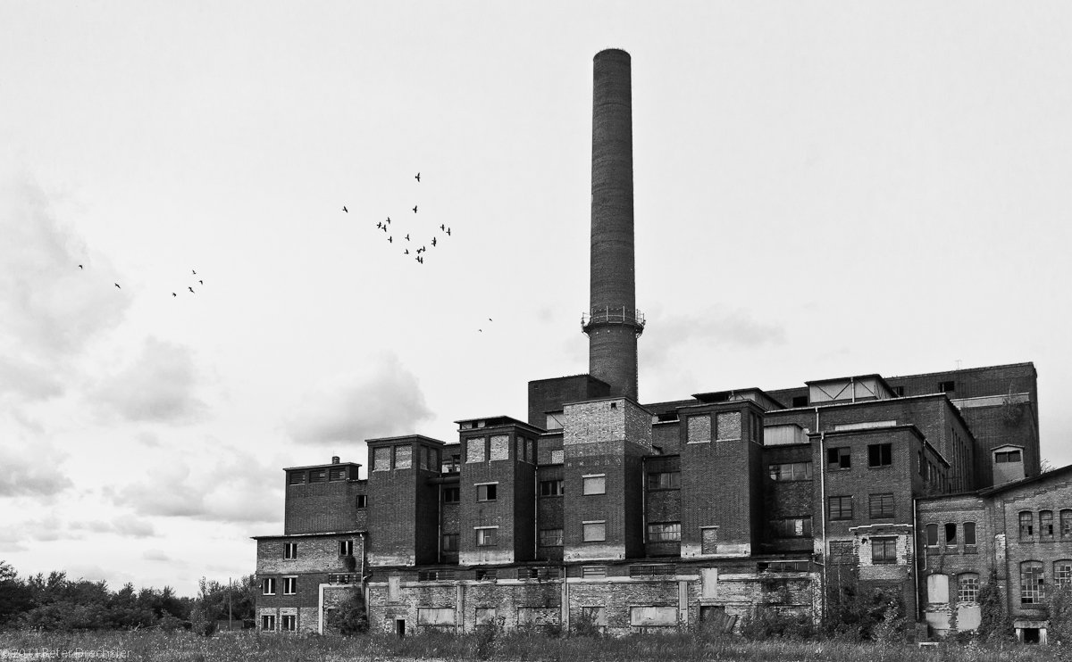 bitterfeld-4.jpg