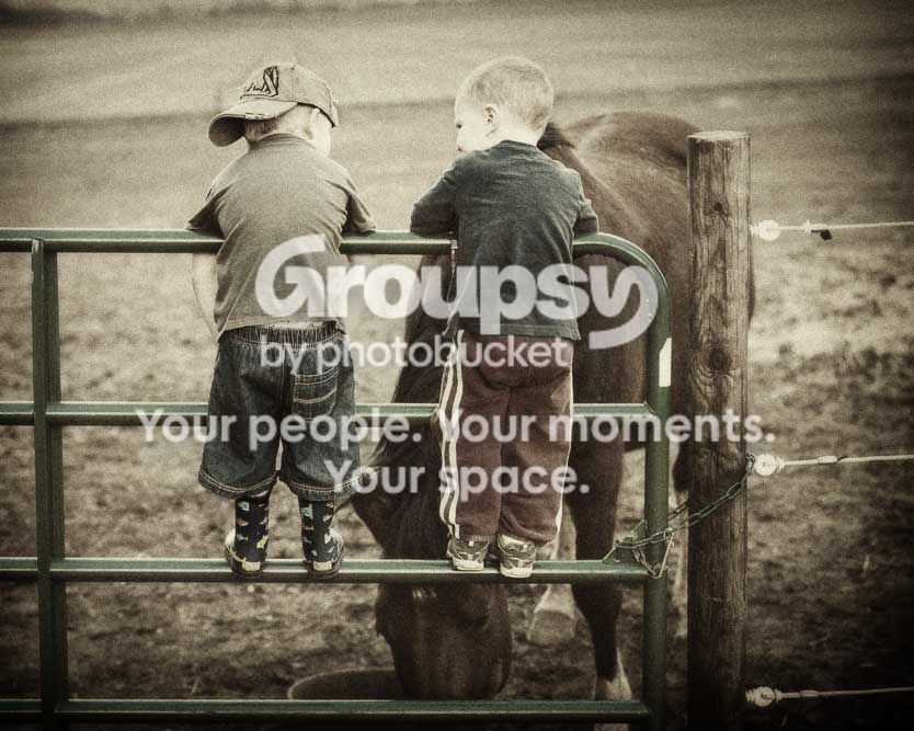brandon-cooper-horse-0096-Edit-23333333333.jpg