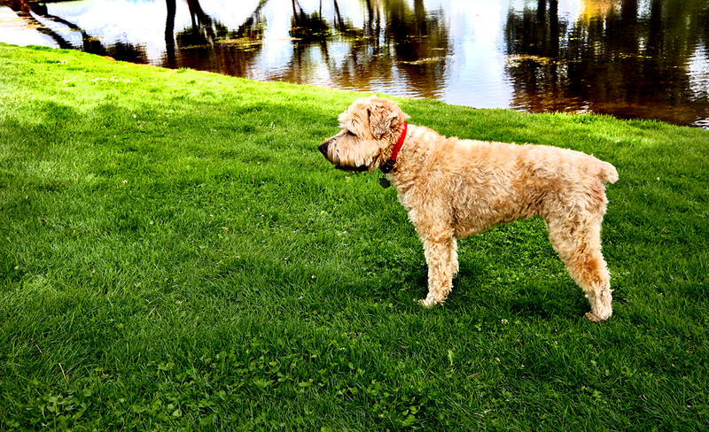 DSCF2626-L.jpg