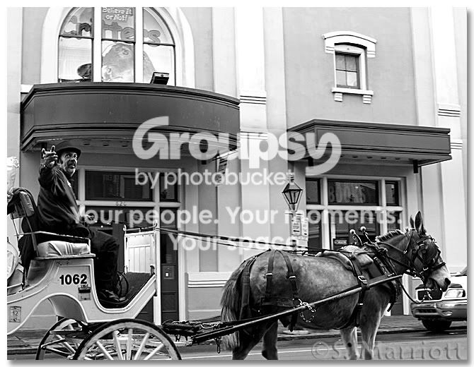carriage2.jpg