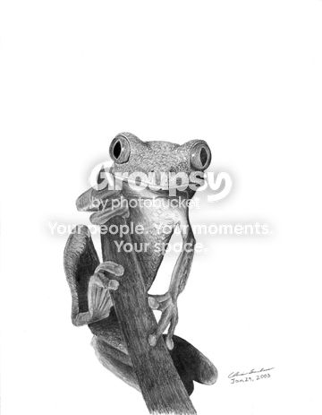 2smallfrog.jpg