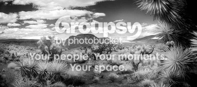 desert_infrared_pano_100.jpg
