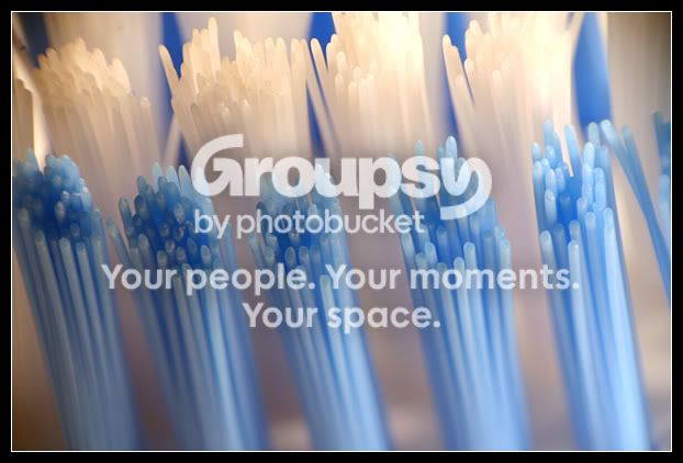 toothbrushmacro.jpg