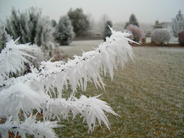 Wintermagic.jpg