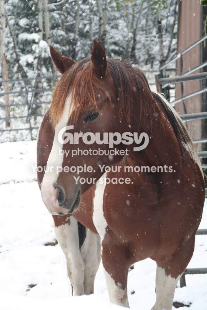 ImportedPhotos00023.jpg