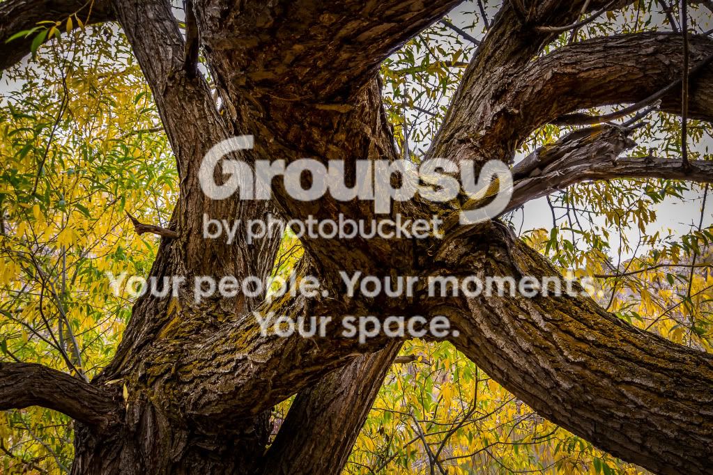 IMG_4331-Edit.jpg
