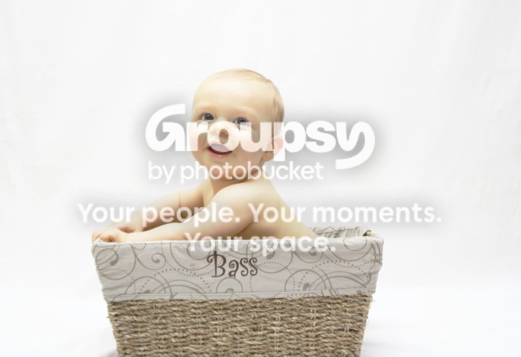 BassBasket2.jpg