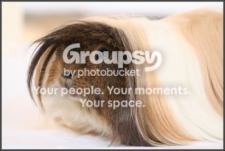 FluffySide.jpg