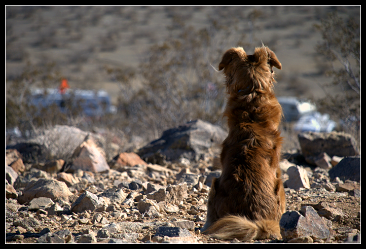 DSC_0048ppweb.png