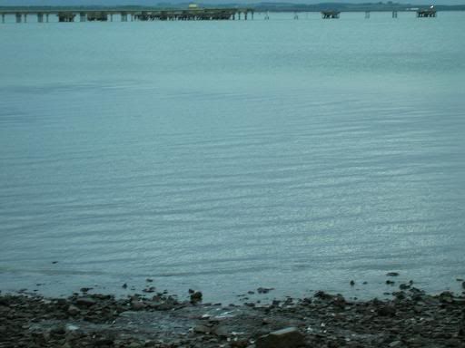 DSCN1517.jpg