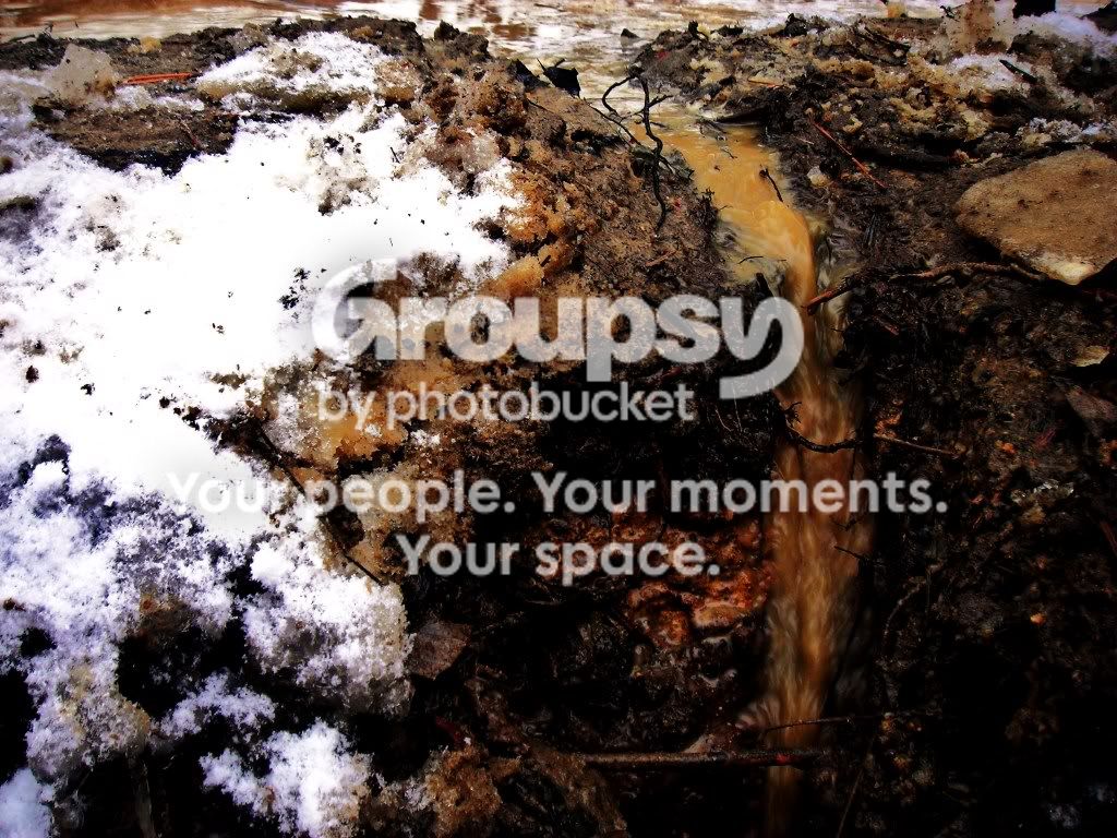 snowday061.jpg