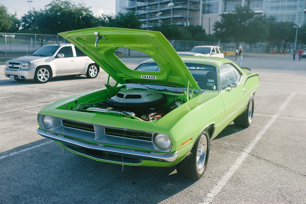 _DSC8524-XL.jpg