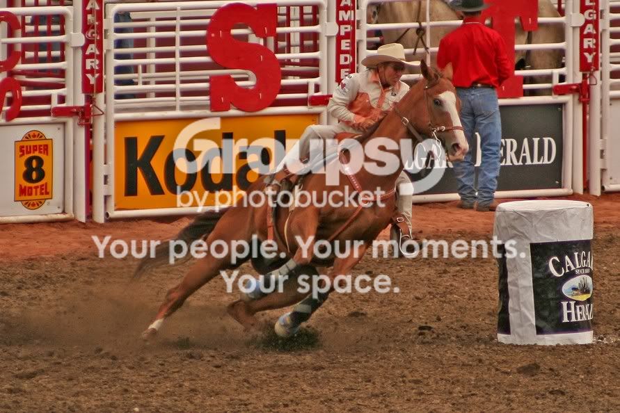 Stampede12.jpg