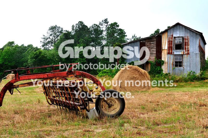 _D306662-web.jpg